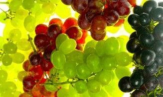 korekcia výživy pre kŕčové žily